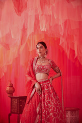 Red Embroidered lehenga with embroidered blouse and dupatta